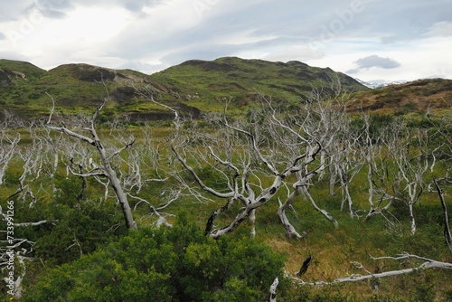 Patagonia:
panorami;
natura;
torres del paine;
