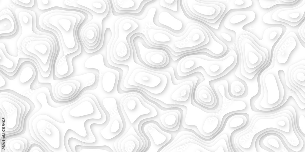 white paper and relief wave and cruve line paper cut background. soft white color seamless pattern, vector illustration, multi layer cutout banner design. topo counter map in 3d view. white paper and relief wave and cruve line paper cut background. soft white color seamless pattern, vector illustration, multi layer cutout banner design. topo counter map in 3d view.