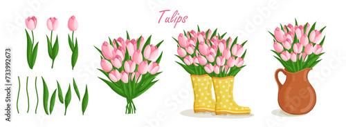 Spring bouquets with tulips and elements. Floral plants with bright flowers. Botanical vector illustration on isolated background for women's day, mother's day, easter and other holidays. photo
