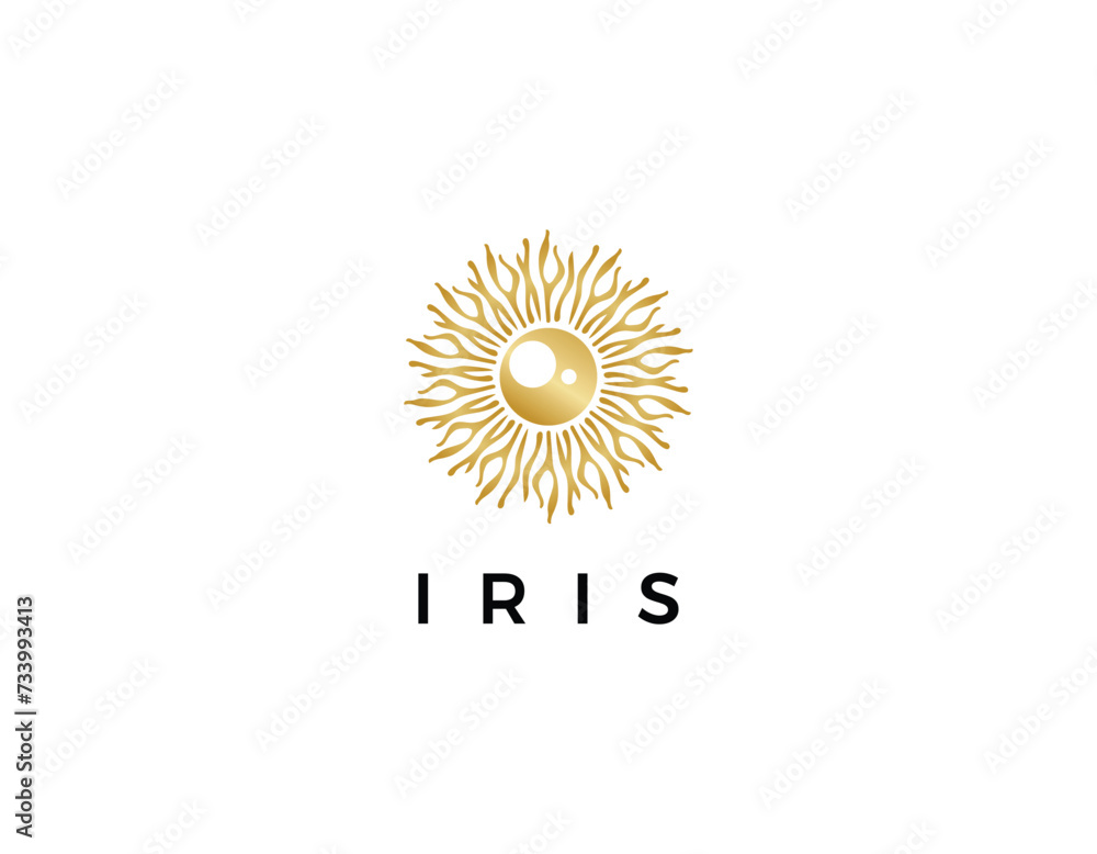 Fototapeta premium Iris Eye Opthalmic Business Logo Design Template