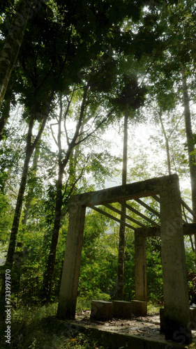 An abandoned structure in a tropical forest