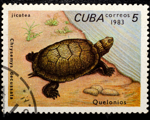 Postage stamp of Cuba, turtle