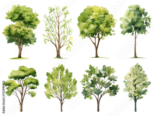 Set of Watercolor trees collection on white or transparent background