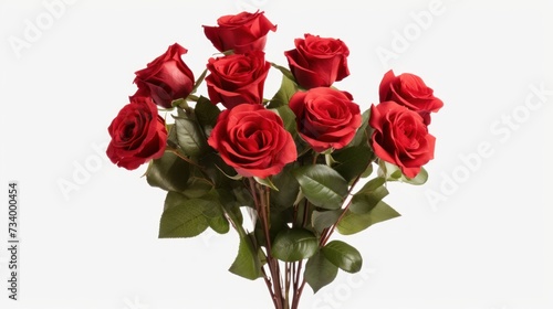 Flowers creative composition. Bouquet of red roses rose plant with leaves isolated on white background.