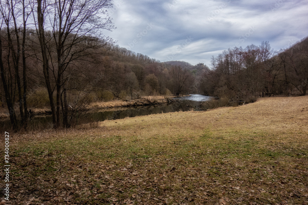 Obraz premium autumn in the forest