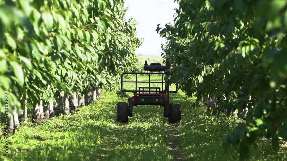 A transport agrodron helps in working on a farmer's field. Ground drone, transport version. A transport agrodron helps in working on a farmer's field. Ground drone, transport version.