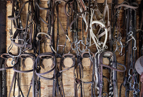 Leather horse bridles and bits hanging on wall of stable at a farm. Wall in the Stables , bridles and ropes weight on the wall
