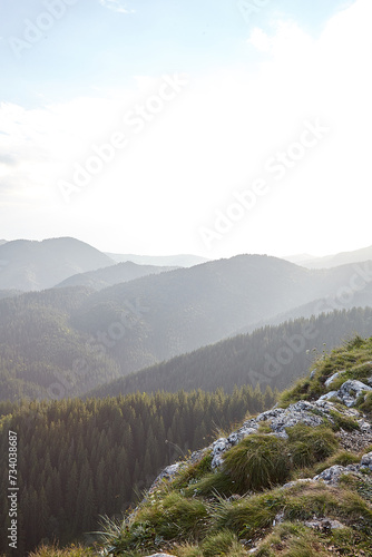 landscape in the evening