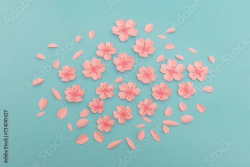 Cherry blossoms