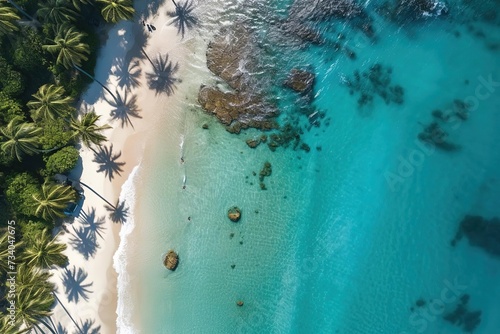 Beach with Palm Trees and Turquoise Waters - Aerial Paradise