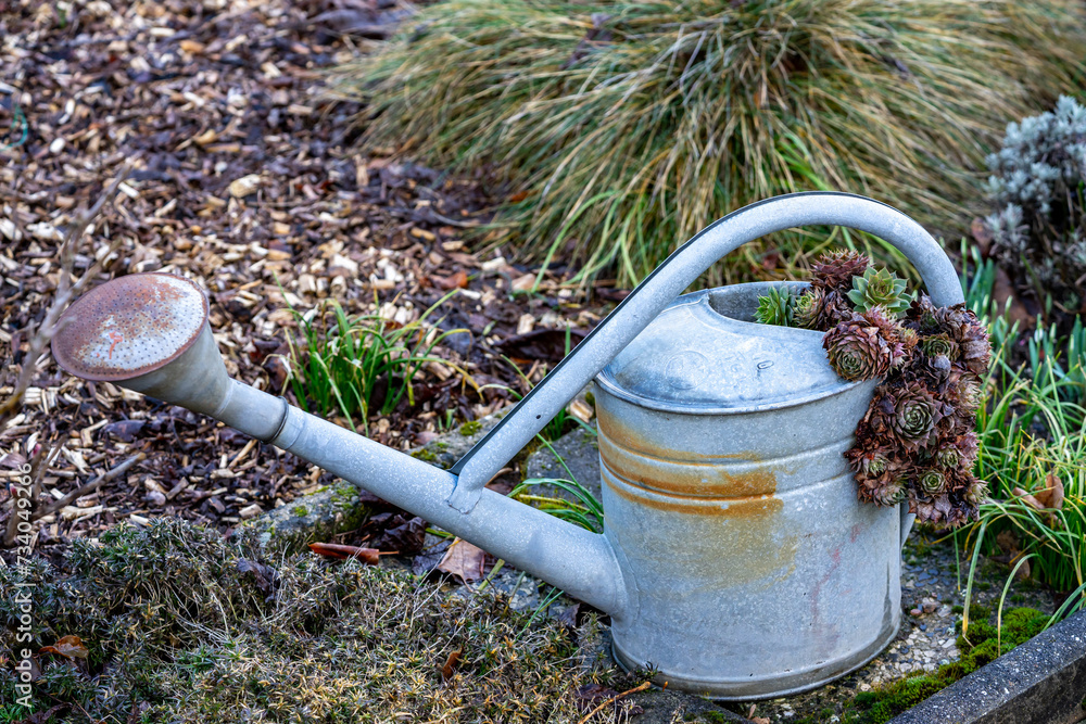 old watering can in the garden old watering can in the garden