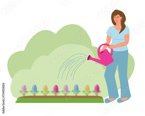 A young woman with a watering can waters hyacinth flowers in a flowerbed in spring garden. Plant care, gardening, hobbies. Vector color illustration with place for text