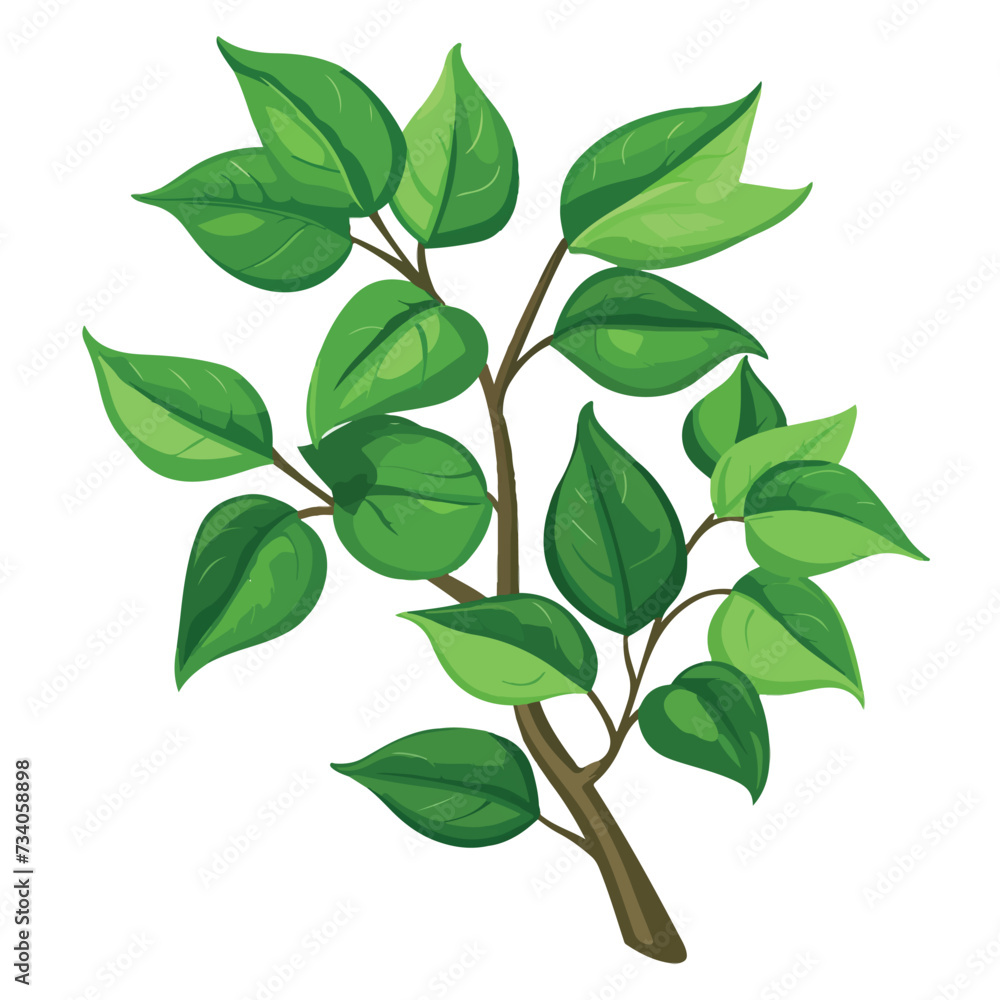 Tree leaves botanical cartoon isolated icon style.