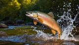 Salmon is jumping out of water with water splash at the sunny lake