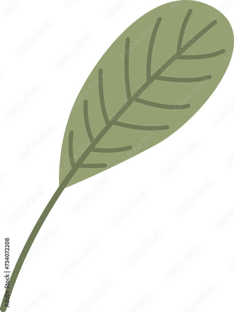 leaf Doodle cute for design elements. leaf Doodle cute for design elements.
