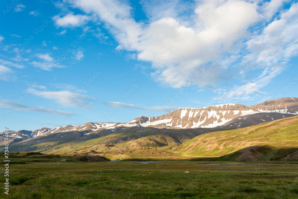 Icelandic summer landscape with snow-capped mountains and green meadows