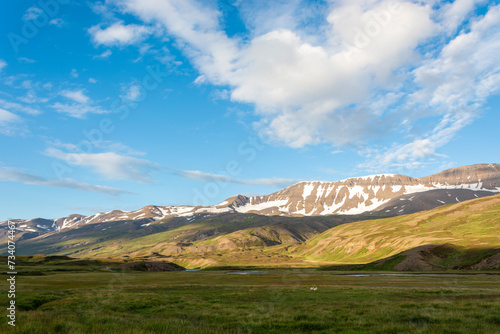 Icelandic summer landscape with snow-capped mountains and green meadows