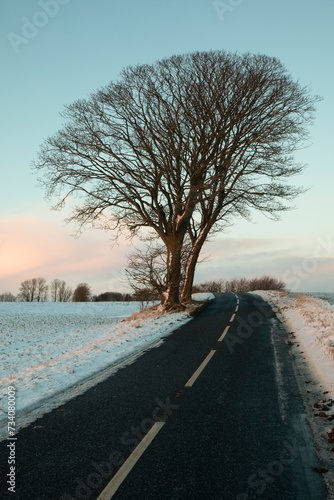 Country Road in the Snow