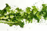 kale kale leaf free stock photo in the style of danie