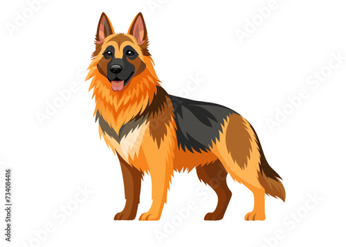 German Shepherd dog isolated
