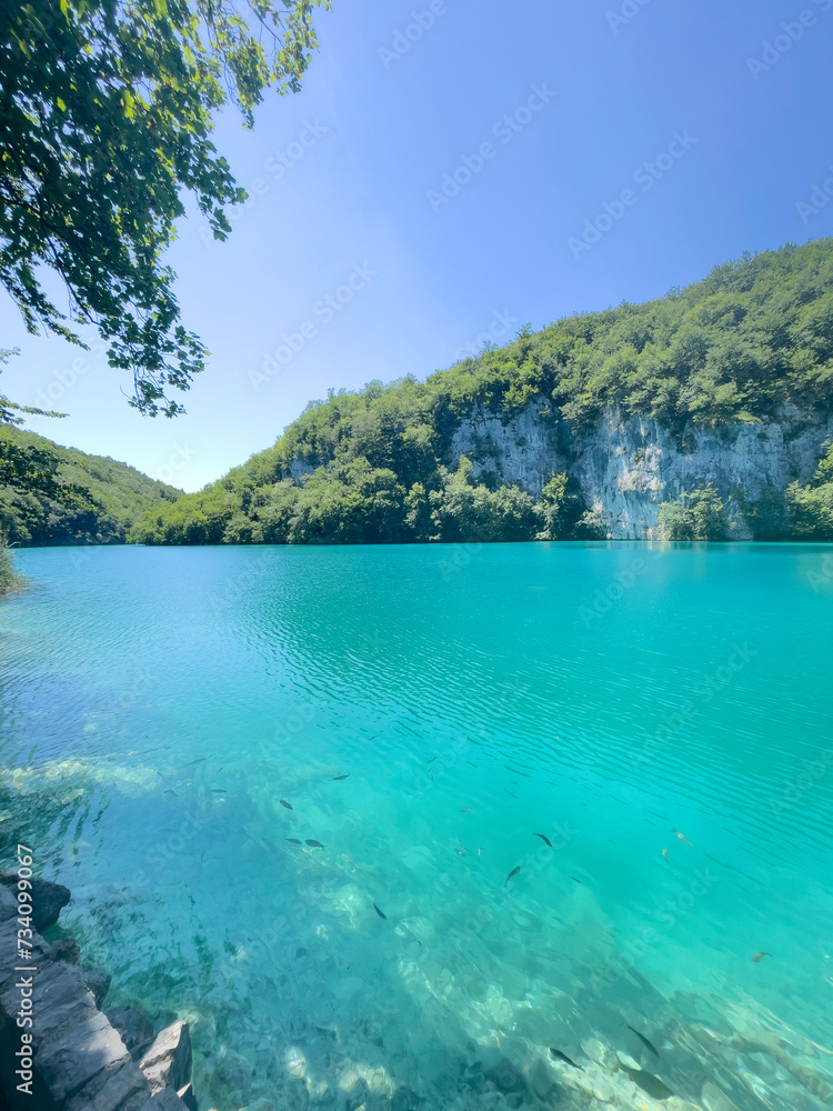 lake in plitvice national park lake in plitvice national park