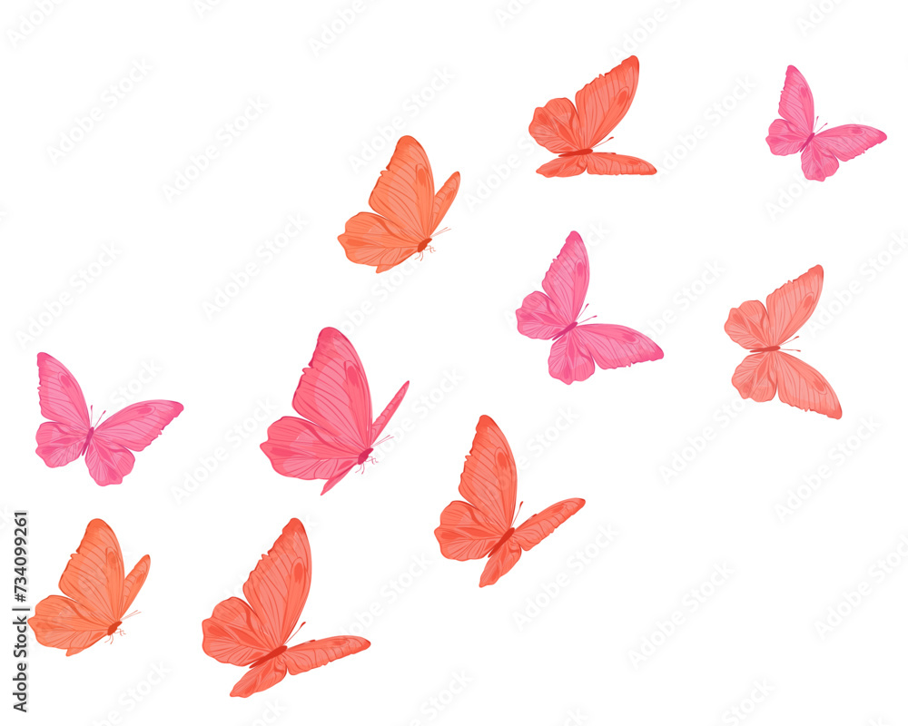 butterflies isolated colorful butterflies isolated colorful