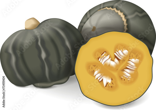 Whole and chopped Bonbon Squash. Winter squash. Cucurbita maxima. Fruits and vegetables. Isolated vector illustration.