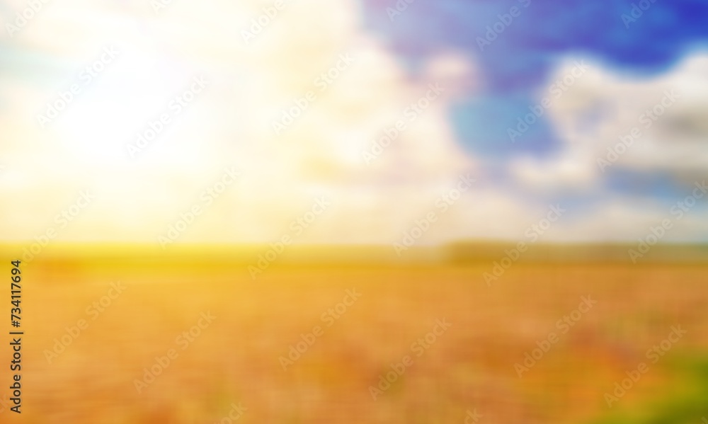 abstract blur colored background, Summer field