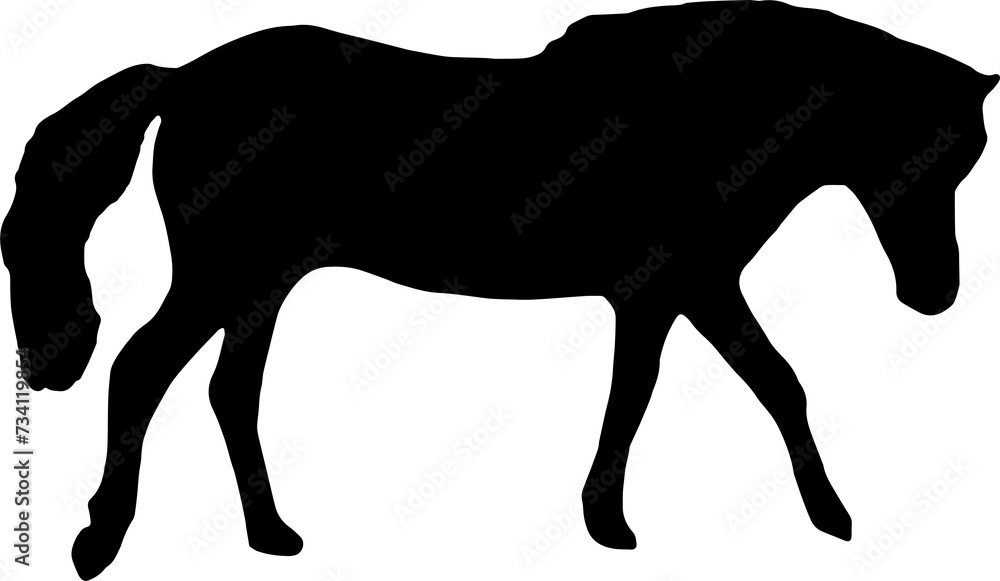 Horse Silhouette Vector Illustration. Wild Horse racing PNG on transparent background Horse Silhouette Vector Illustration. Wild Horse racing PNG on transparent background