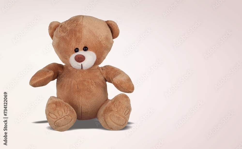 Fototapeta premium Stuffed cute soft toy on background