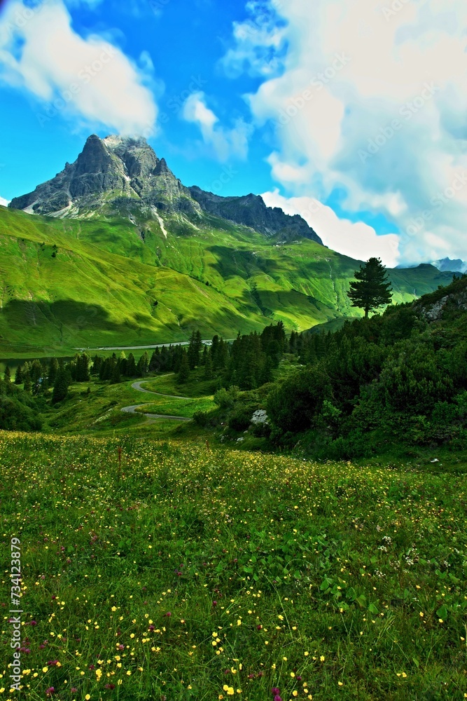 Fototapeta premium Austrian Alps - view of the Widderstein mountain near the town of Warth in the Lechtal Alps