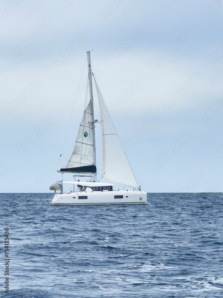 a catamaran sailing in the open ocean