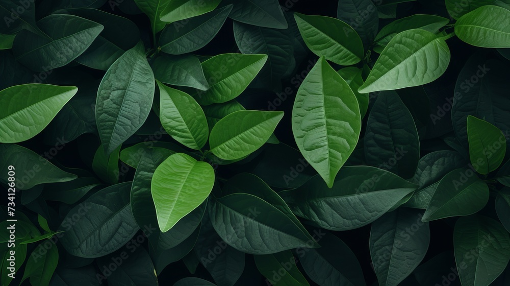 Creative layout made of green leaves. Flat lay. Nature concept