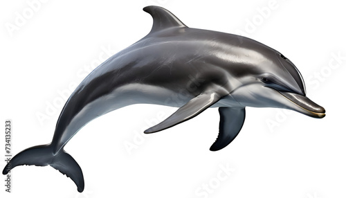 Illustration of cute dolphin