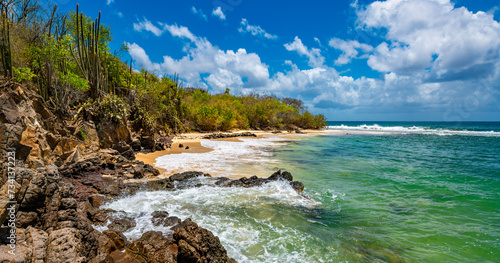 Panorama of “Petite Anse des Salines“ is a pristine secluded small beach on tropical island Martinique in the Caribbean Sea. Sandy beach and lush vegetation near Saint Anne on french paradise island. photo