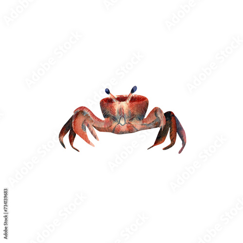 Watercolor Crab illustration. Hand drawn illustration with red crab front view for posters design, souvenirs photo