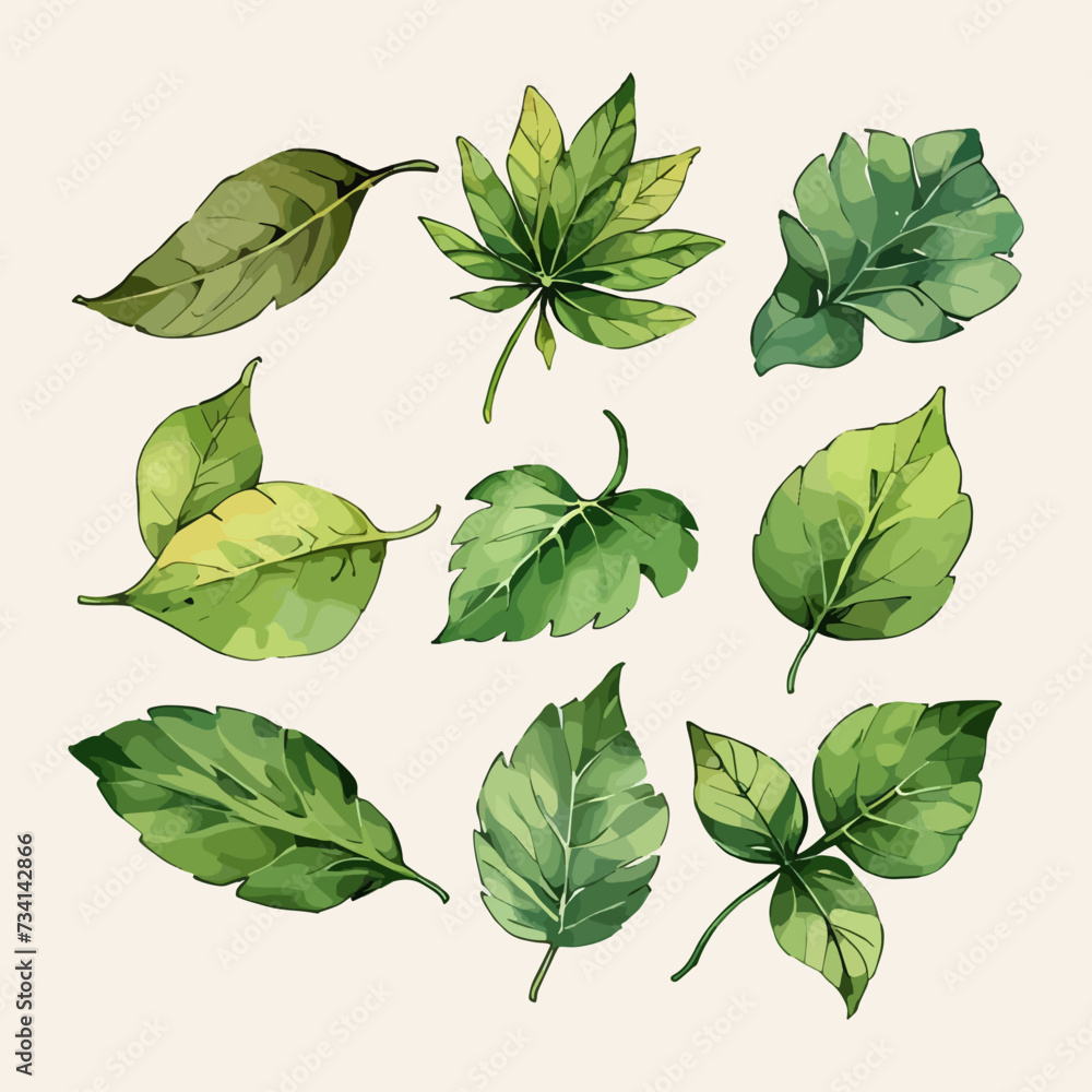 Obraz premium Leaves vector watercolor leaves leaf vector