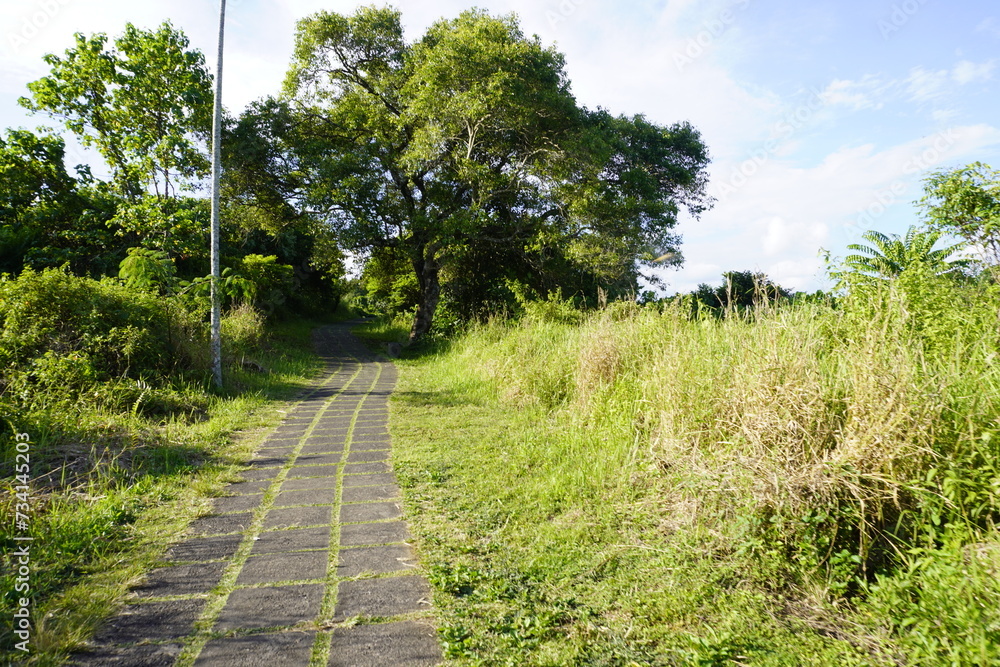 Ubud Trails: Exploring Nature's Majesty on a Bali Hiking Adventure