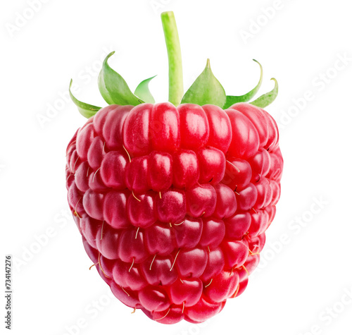 Ripe raspberry isolated on a white background.
