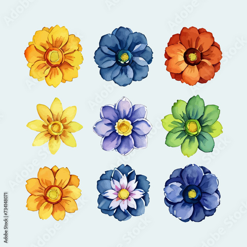 Flower vector watercolor flowers floral vector