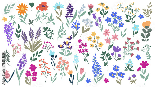 Large botanical set of wildflowers: flowers, twigs, leaves, herbs and other elements are hand-drawn in a flat style isolated on a white background. Vector design.