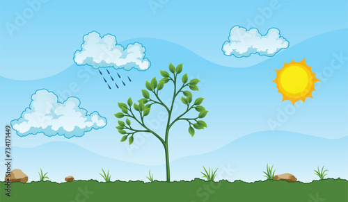 Photosynthesis process. Tree produce oxygen using rain and sun. Process of photosynthesis in plant. Colorful image for education in flat style