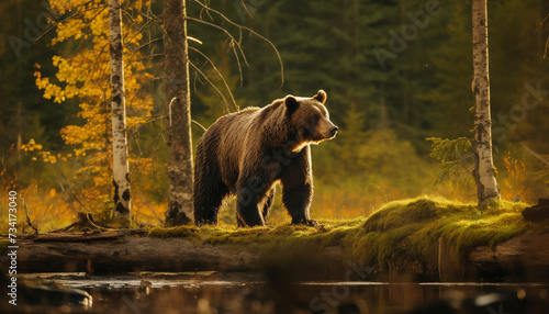 Majestic grizzly bear walking in tranquil autumn forest generated by AI