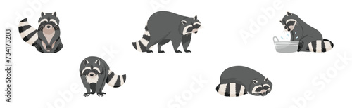 Funny Raccoon with Front Paws and Ringed Tail Vector Set © Happypictures