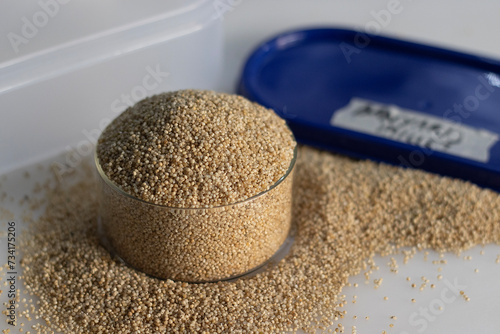 Closeup of banyard millet, a healthy grain, in a container and glass bowl filled to the brim photo