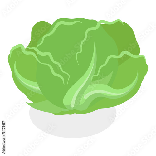 3D Isometric Flat Vector Set of Salad Greens, Leafy Vegetables. Item 2