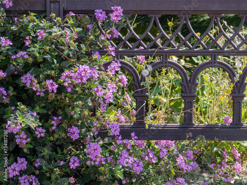 Fragment of a bronze fence with lilac flowers