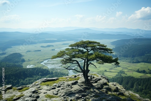 A sturdy tree stands alone on the peak of a towering mountain with a scenic view of the surrounding landscape. photo