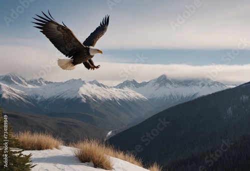 A landscape of snow-capped mountains with a majestic bald eagle hovering in the foreground among the evergreen trees at the foot of the hills.