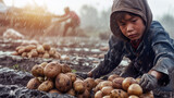 A child busy harvesting potatoes in a dirty field in the rain. Illegal forced child labor. The concept of illegal human trafficking